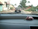 DriveFun