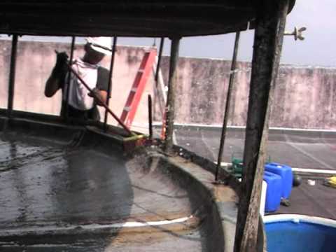 how to maintenance cooling tower