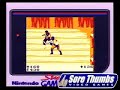 Nintendo Game Boy PIT FIGHTER