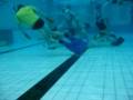 2004 Underwater Hockey Nationals in Hobart
