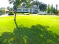 1313 Cliff Fillmore California Front Yard