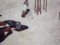 video of pouter