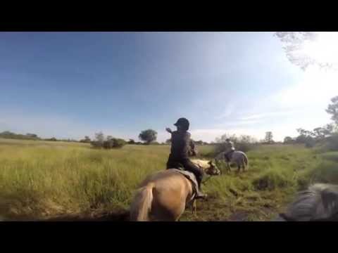 Real Africa guest on riding safari in the Okavango Delta