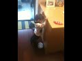 Dylan is closing the drawer