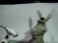 videos de O Burro e a Vaca