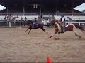 Youth Horse Racing
