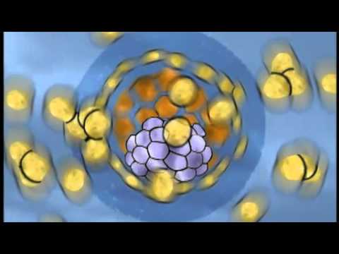 how to isolate human embryonic stem cells