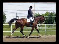 Drez�rne preteky TJ El�n ?ierna Voda