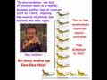 11th Foundational Falsehood of Creationism