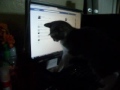 Click here to watch this video Silly Mittens