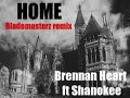 brennan heart teams up with shanokee and they
made this very nice record. released on the
famous m!d!fy label