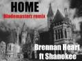 Brennan Heart ft Shanokee - Home (Blademasters remix)