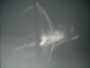 the orb