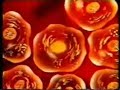 Quran Mahfil-Quran & Hadid in Bangla-Islam in Bangla Part 4
