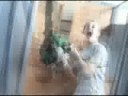 texas leaf blower massacre