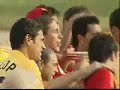 Spain celebrates Euro 2008