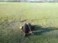 videos de Gabi Up The Field