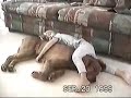 funny video - ngantuk tak tahu malu funny video - ngantuk tak tahu malu
