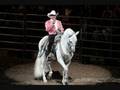 Joan Sebastian Pienso En Ti Video and Lyrics