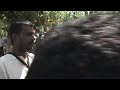 Against Sri Lankan president Mahinda Rajapakse