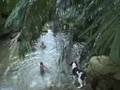 2008 Okinawa-Ishigaki Camp