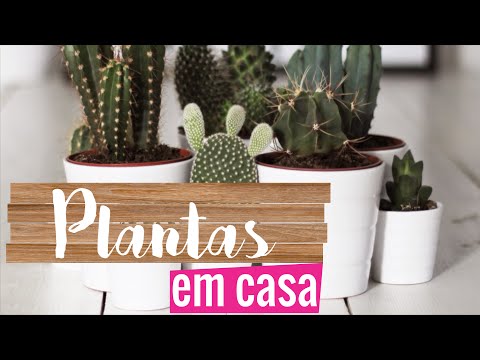 Imagem de Amostra do You Tube