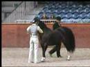 Eywas Lowri at a Show