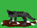 RE: Warrior Cat Battle Drawing Contest!!!