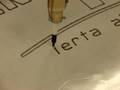 Writing SCARA Robot 2