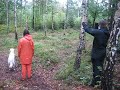 mentalbeskrivning