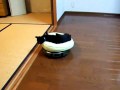 Kitten Rides Roomba