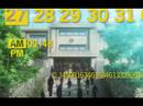 [ ATLUS JP ] Persona 4 INTRO