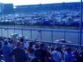 At The Races