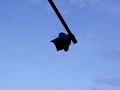 Solar Traffic Light Blinker by Solkar Solar Indutry limited
