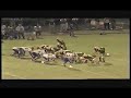 Cobie Savoie CL Junior RB/ATH