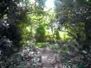 on the way to Bulolo waterfall...