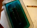Magnetohydrodynamics demo