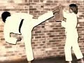 Tribute to Kancho Sullivan Tribute to Kancho Sullivan