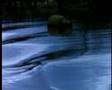  - MovieZen Video