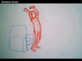 Chaitanya's 2d Animation Demo Reel Feb 2008