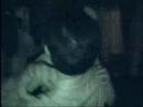Heller kamp�nyfilm
