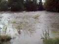 Baddeckenstedt Hochwasser Innerste Überschwemmung