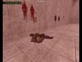 fun with ragdolls 2
