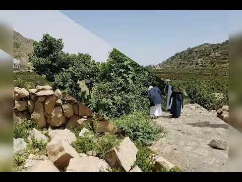 تعبت عيوني_فن رازحي مع بعض الصور من مديرية رازح