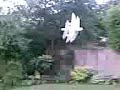 Toy Remote Controll Plane Toy Remote Controll Plane