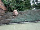 Fixing a Hole