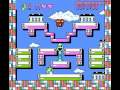 rare game for the nes developer: taito publisher: taito america corp. platform: nes release: 1993