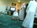 funny falls