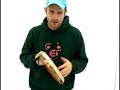 Sebastian Notini pandeiro Alexandre Grigoletti video