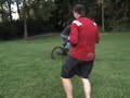 treeride